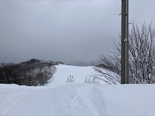 2503202_R.jpg