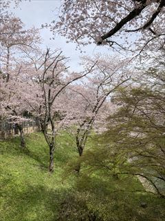 DA35A920-B12D-41A9-841D-89DEAA2384E1_R.jpg