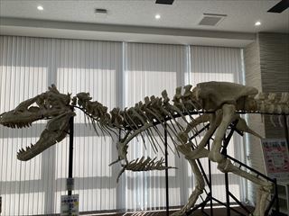 IMG_0370_R.jpg