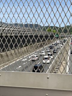 IMG_0519_R.jpg